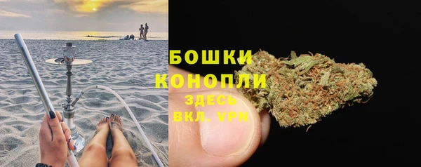 спайс Белокуриха