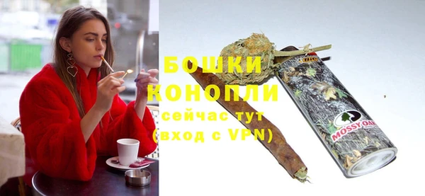 ГАЛЛЮЦИНОГЕННЫЕ ГРИБЫ Рославль