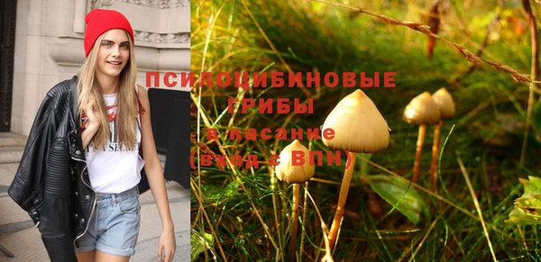спайс Белокуриха